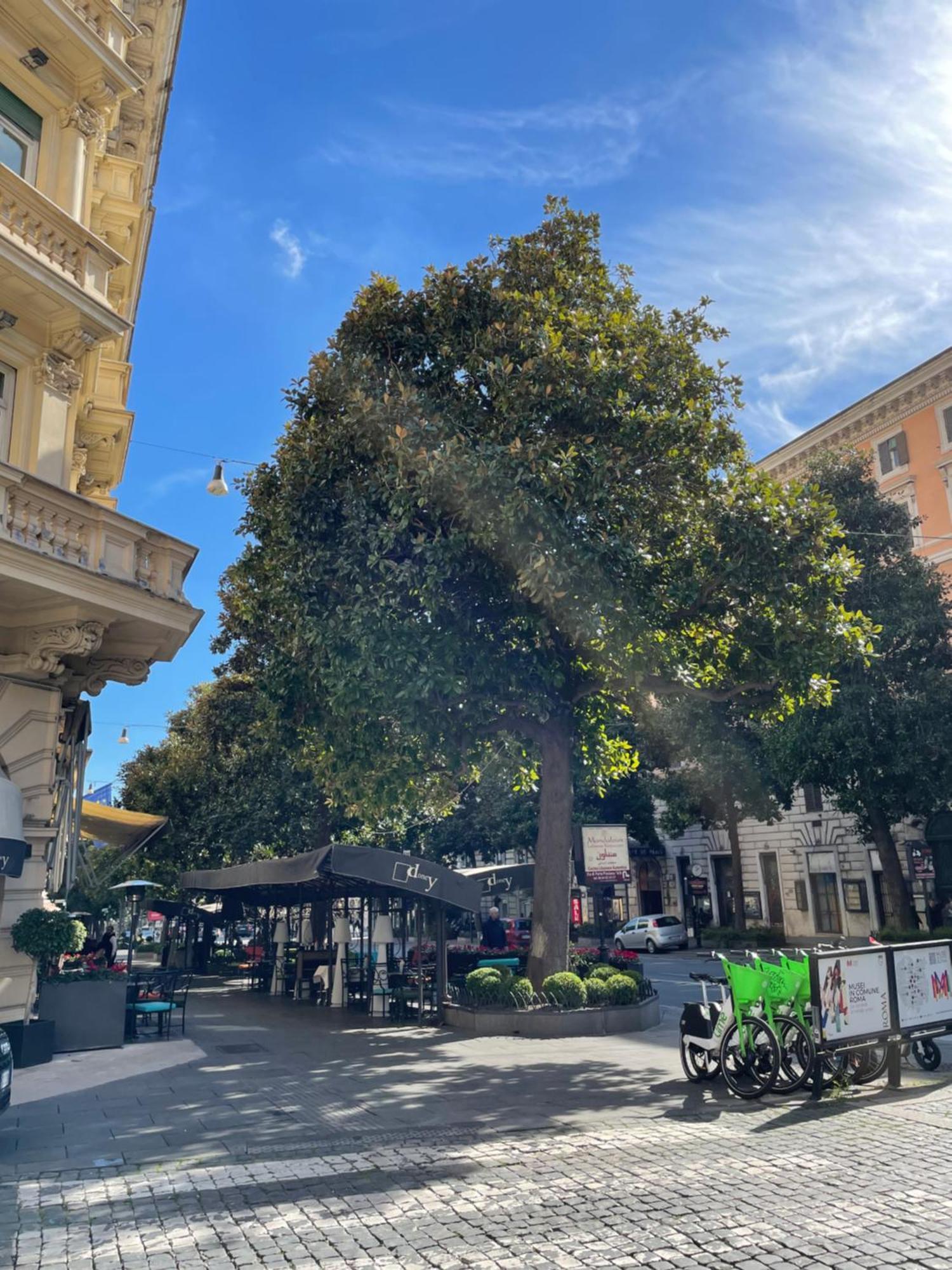 Dolcevita'S House Rome Exterior photo